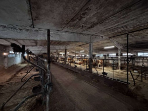 ������ ���������������-���������� ���������, � ��������, �.10�, ���������� �������