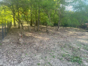 ������� ���������� �������, ���������, ������� ��, ������������� ����