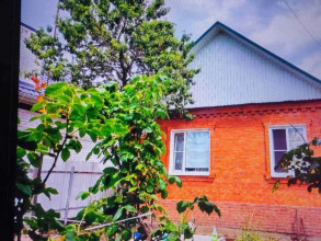 ������� ����, ������������� ����, ������������� ����