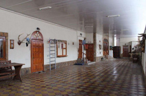 ������� ����, ���������, ��. �������� ��, 376, ������������� ����