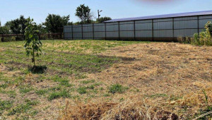 ������� ����, ���������, �������� ��., 22, ������������� ����