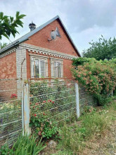 ������� ����, ���������, ����������� ��, 388, ������������� ����