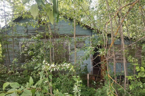 ������� ��������� ���������� ����������, �������� �., ��������������� ��., 114, ����������� �������