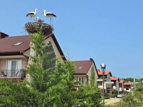 ������� ��������, ����, ���������� ��., 37�9, ������������� ����