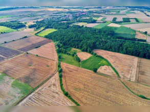 ������� ���������� �������, ������������� �������, ������������� �������