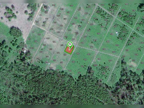 ������� ���������� �������, � �������, ��� �������� ����������, ���������� �������