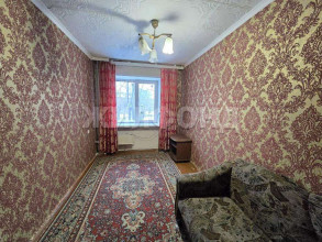 ������� �������, �����������, �������� ��., 31, ������������� �������