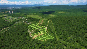 ������� ���������� �������, �����������, �������� �., 50 ��� ������� ��., ���������� ����