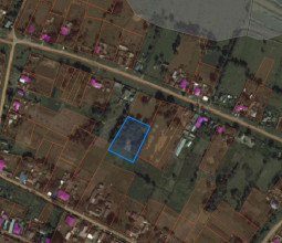 ������� ���������� �������, ������� ������������, ��������� ��, ������������� ����