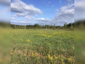 ������� ���������� �������, �������, ��������� �., ���������� �������