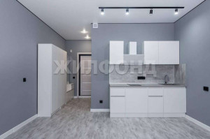 ������� -��������� ��������, �����������, ������� ��., 66, ������������� �������