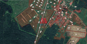 ������� ���������� �������, ���������� �., ����������� �������