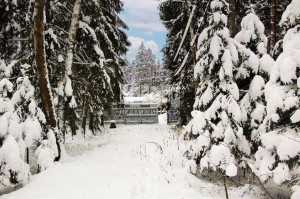 ������� ���������� �������, � ��������, ����������� �, ���������� �������