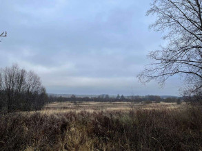 ������� ���������� �������, �������� �., ���������� �������