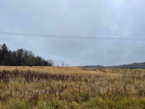 ������� ���������� �������, ���������� �., ���������� �������