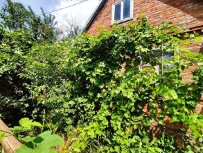 ������� ���������� �������, ������������� ����, ������������� ����