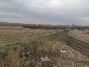 ������� ���������� �������, ����������, �������� �., ������������ ����