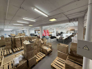 ������ �����, ���������, ������������ �., �.52��1, ����������� �������