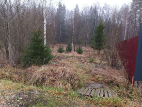 ������� ���������� �������, � ���������, ���������-2 ����������, ���������� �������