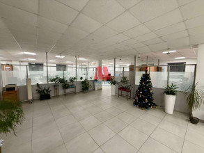 ������ �����, ���������, �������� ��., 56, ����������� �������