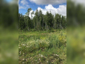 ������� ���������� �������, �������� �., ������� �������