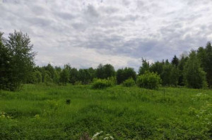 ������� ���������� ������� ��� ������������ ���������, ��������� �., ������� ��., ��������� �������