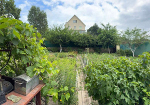 ������� ��������, �������, ������� ��� ���������� ���, ���������� ����