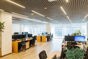 ������� �����, ������������� 4062-� ���., �.6��2, ������