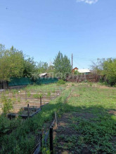 ������� ����, �����, ����������� ��, ���������� ����