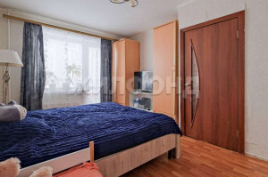 ������� 1-��������� ��������, �����������, �������� ��., 21, ������������� �������