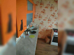 ������� 1-��������� ��������, �����������, ���������� ��., 4, ���������� �������