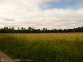 ������� ���������� �������, ���������� �������, ���������� �������