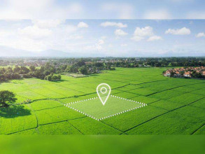 ������� ���������� �������, �������, ���������� �������