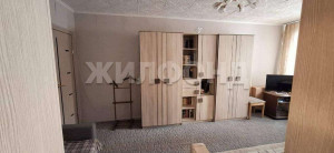 ������� 1-��������� ��������, �����������, ������� ������������ ��., 57, ������������� �������