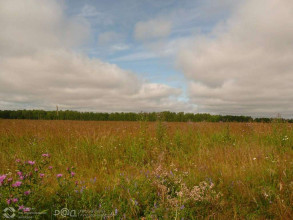 ������� ���������� �������, ������ �., ���������� �������