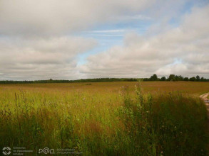 ������� ���������� �������, ��������� �., ����������� ��., ���������� �������