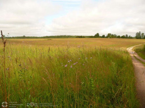 ������� ���������� �������, ������� �., ���������� ��., ���������� �������