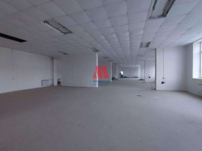 ������ ��������� ���������� ����������, ���������, ������������ �����, �.��61, ����������� �������