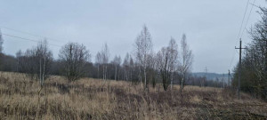 ������� ���������� �������, ���������� �., �������� �������