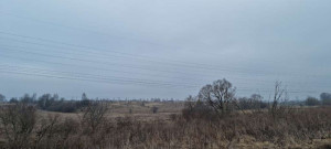 ������� ���������� �������, ���������� �., �������� �������