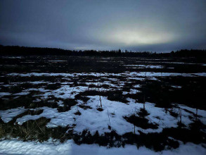 ������� ���������� �������, �������, �������� �., ���������� �������