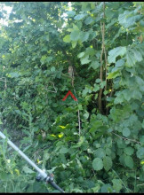 ������� ���������� �������, ������������ ���., ������ ��., ������������� ����