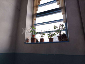 ������� 1-��������� ��������, �����������, �������� ��., 1, ������������� �������