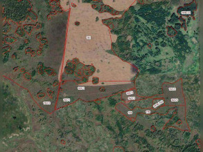 ������� ���������� �������, ������������ �., ������ �������