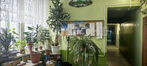 ������� �������, �����������, ����������� ��., 3, ������������� �������