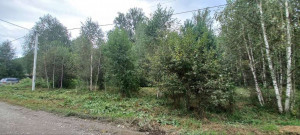 ������� ���������� �������, �/� ������ �., ����������� ��., ���������� �����