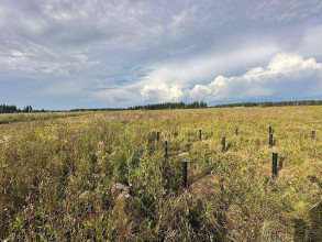 ������� ���������� �������, ���������, ������� �., ���������� �������