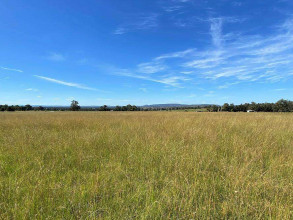 ������� ���������� �������, ����-�������, �������� �., ���������� �������