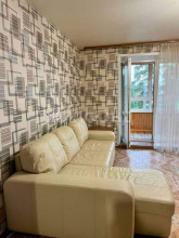 ������ -��������� ��������, �����������, ��������� ��., 31, ������������� �������