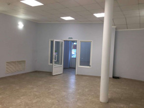 ������ ��������� ���������� ����������, ������-��-����, �������� ��., 71, ���������� �������